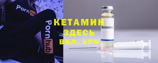 спиды Аркадак